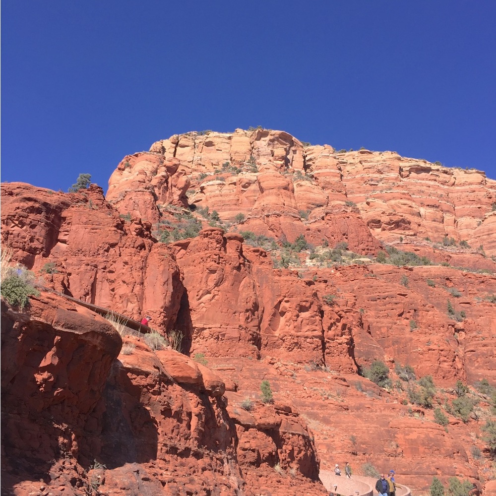 Meet your Posher, Diana